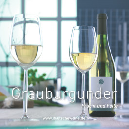 424 - Weinfilze  / Wine Coasters Grauburgunder VPE 100 Stück