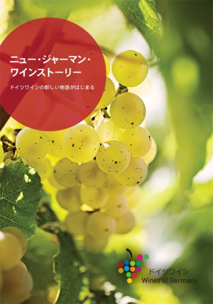 906 - New German Wine Stories - At a Glance - japanisch